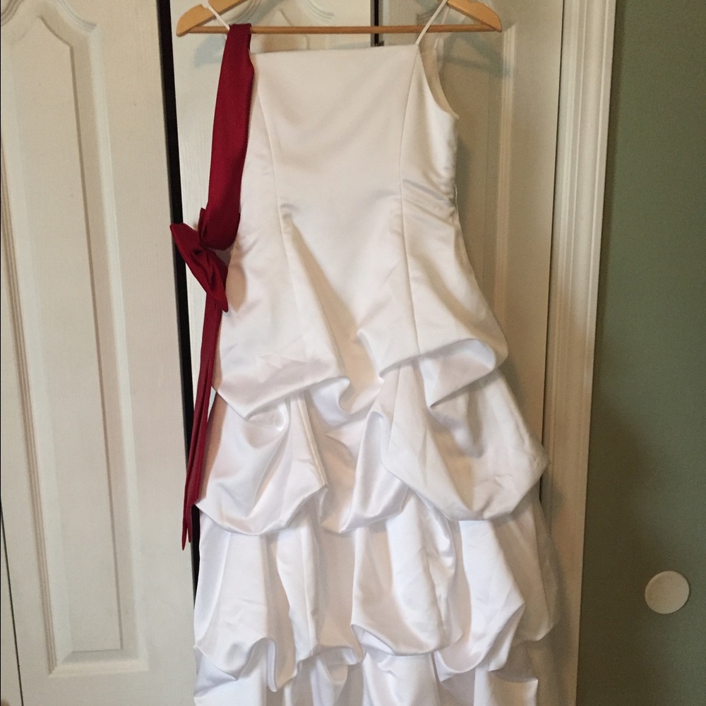 David's Bridal Flower Girl dress